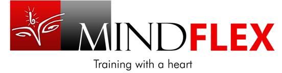 Mindflex- The Learning Orgainzation