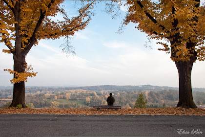 Roger Daltrey, "Giving It All Away"