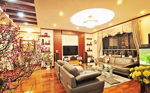 Dịch vụ trang trí xuân