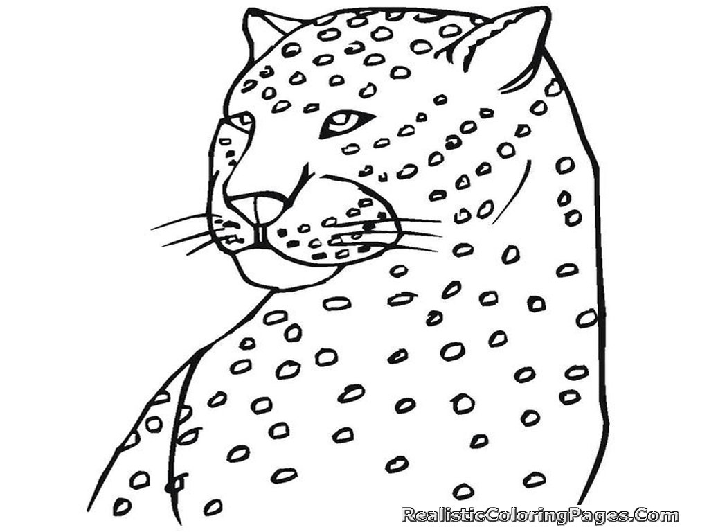 baby cheetah coloring pages - photo #16