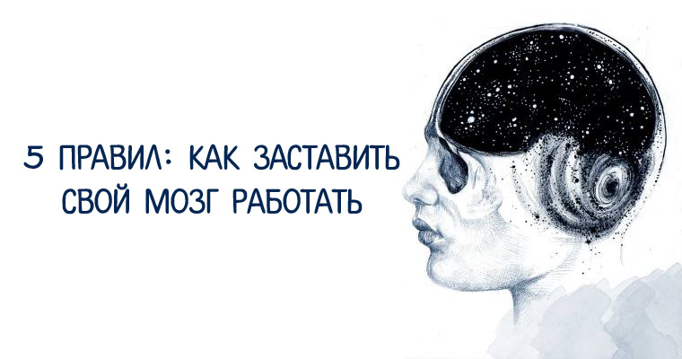 Мозг ученика. Зарядка для мозга. Как заставить мозг работать. Как заставить мозг работать. Мозг думает.