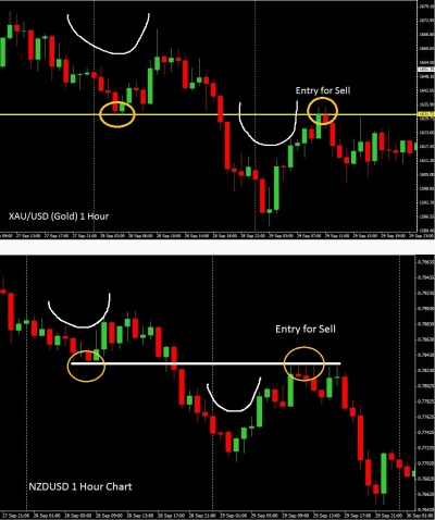 Pip milking strategy forex factory