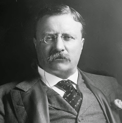   狄奧多·羅斯福