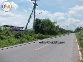 ที่ดิน ราคาถูก