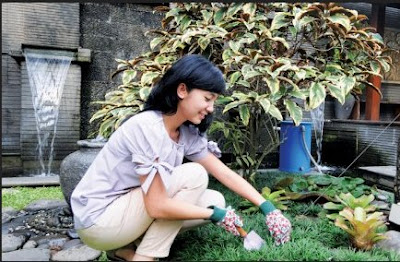 Tukang Taman Jakarta Tips Mudah Merawat Taman