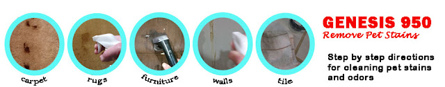Pet Stain Remover Urine Pet urine carpet