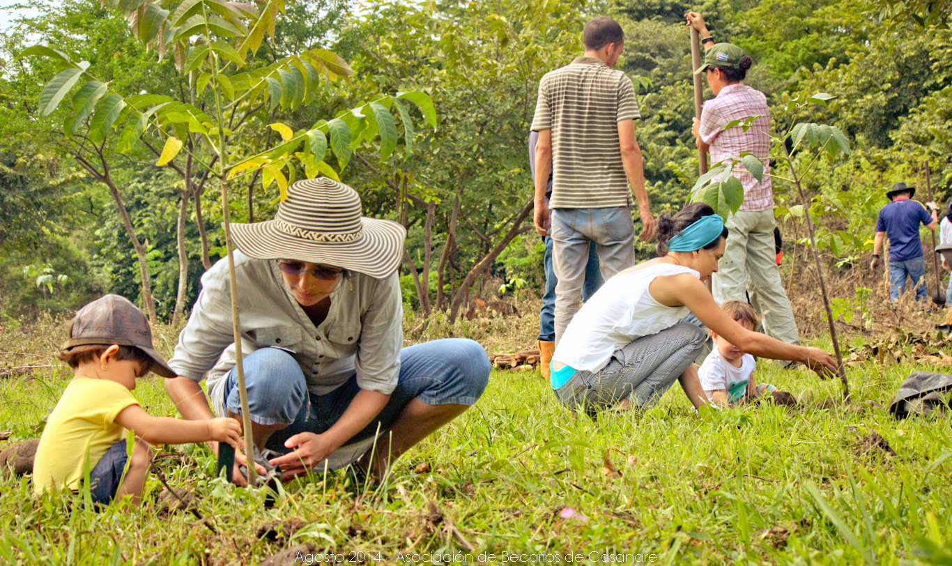 ENVIRONMENTAL PROBLEM FELLING OF TREES A BIG PROBLEM environmental-problem-felling-of-trees-a-big-problem