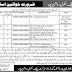 District Public School (DPS) Rajanpur Jobs