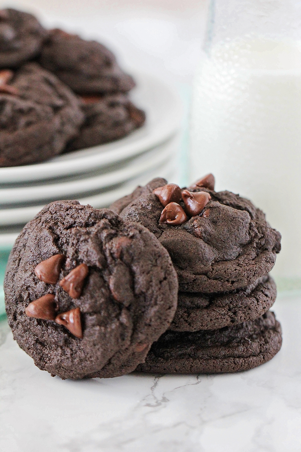 These rich and decadent fudgy double chocolate cookies are the perfect way to satisfy your chocolate craving!