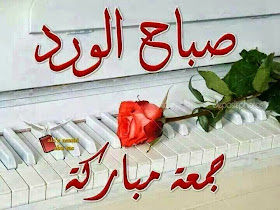 d0e10bbec10cb6066d54d4bff8c97c2d