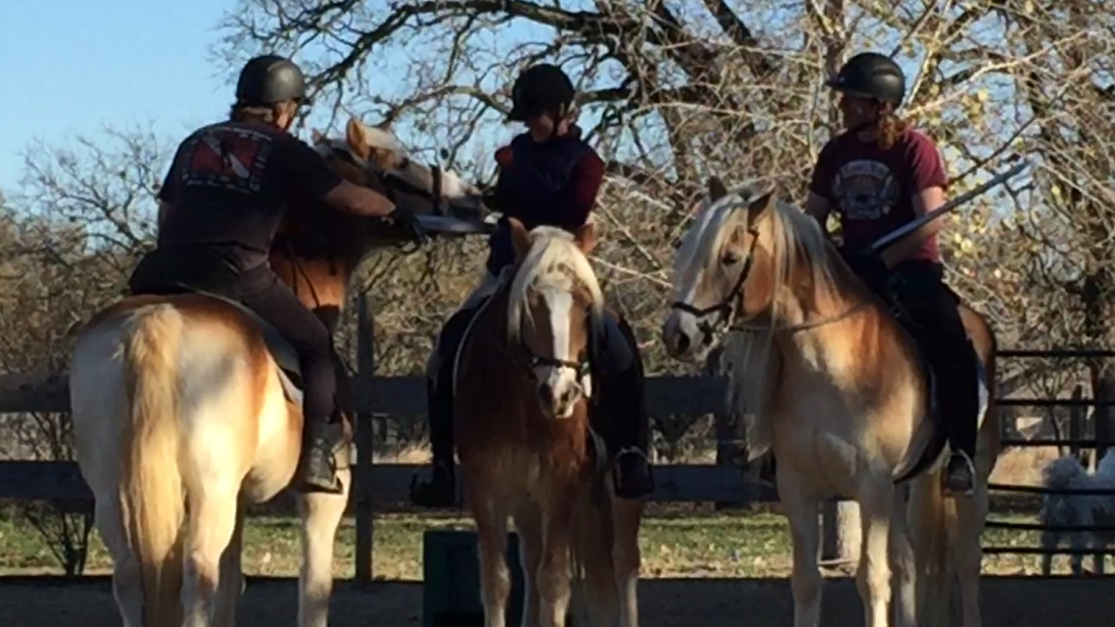 Wyvern Oaks Throwing down the gauntlet on R+ training