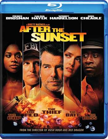 After The Sunset 2004 300mb Hindi Dual Audio 480p BluRay