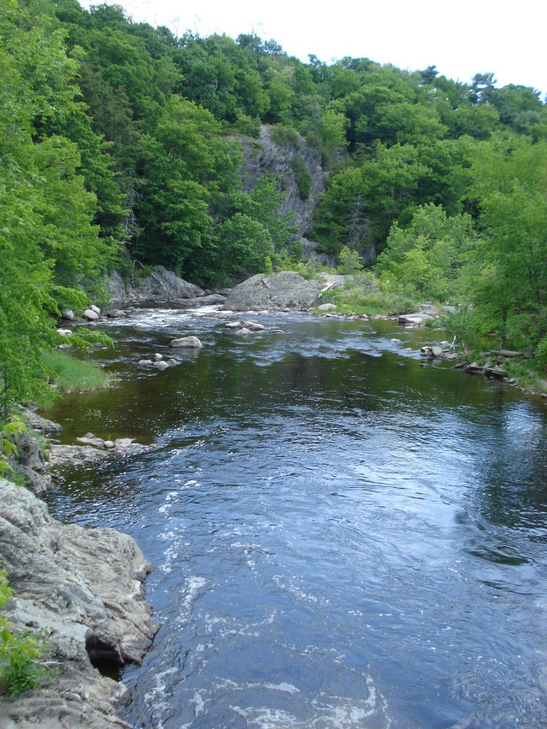 Conciertos y desconciertos Llego al Kenduskeag
