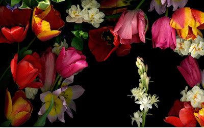 cuadros-de-flores-para-dormitorios cuadros-de-flores
