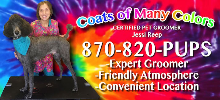 Hosts On The National Dog Show Hosts On The National Dog Show