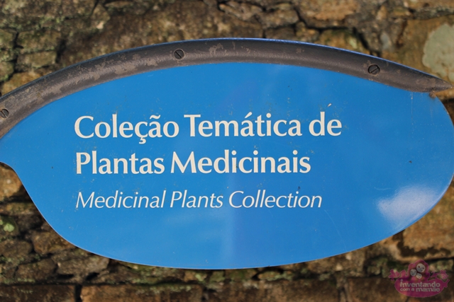 Plantas Medicinais no Jardim Botânico do Rio
