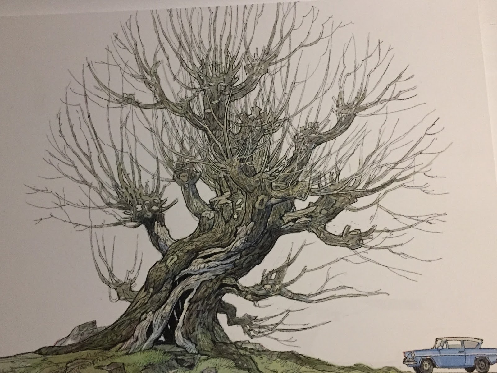Designs of the Whomping Willow and the Flying Car. 