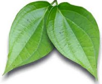 manfaat dan khasiat daun sirih manfaat dan khasiat daun sirih