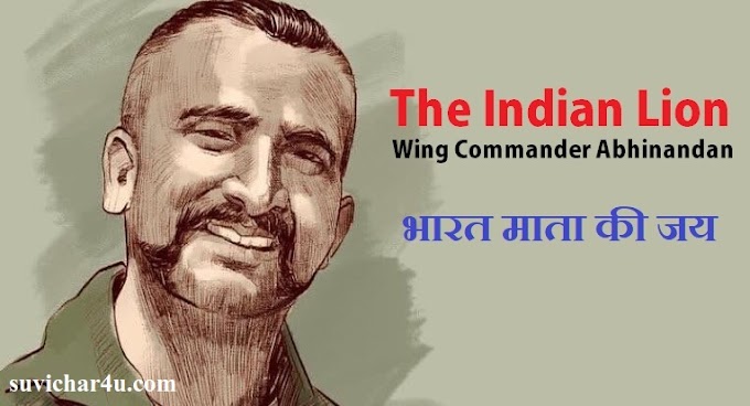 The Indian Lion - Wing Commander Abhinandan
