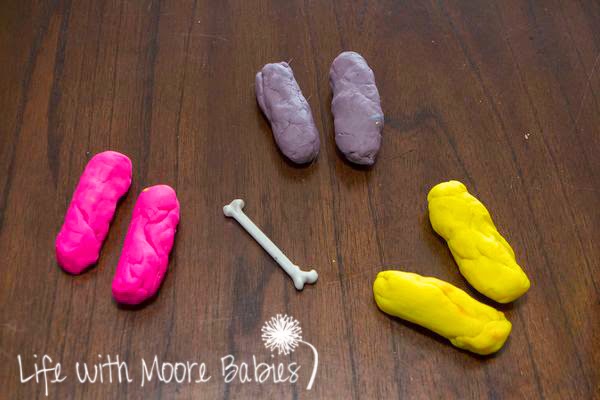 See what bones do with playdough!