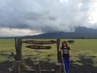 Taman Nasional Baluran Taman Nasional Baluran