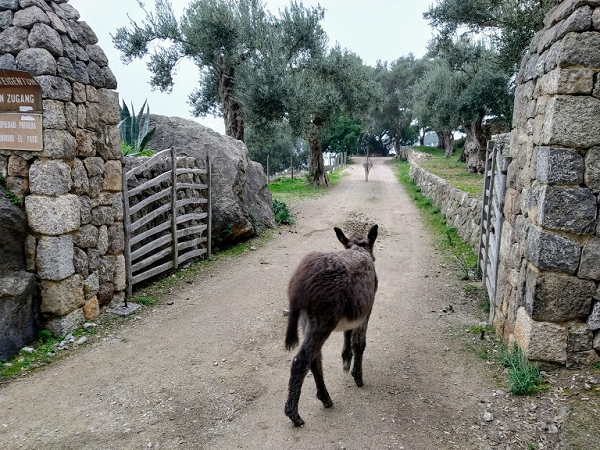 lugares bonitos en Mallorca