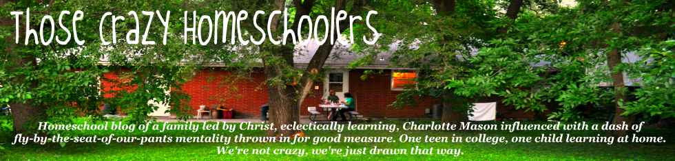 Those Crazy Homeschoolers blog. Unschooling, Eclectic, fly-by-the-seat-of-our-pants learners.