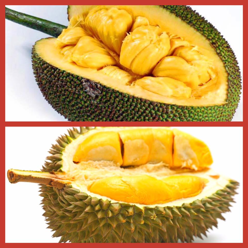 Rockin' the Kitchen Jackfruit finally!!