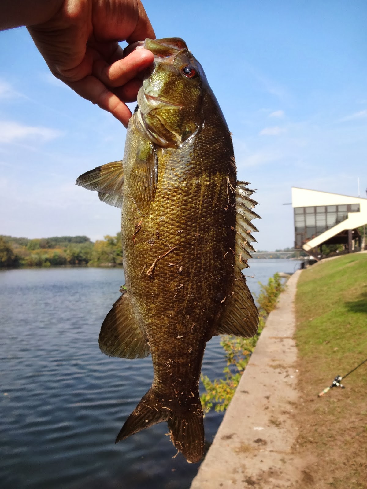 Extreme Philly Fishing: October Fishing Sessions (Last Update: COMPLETE)