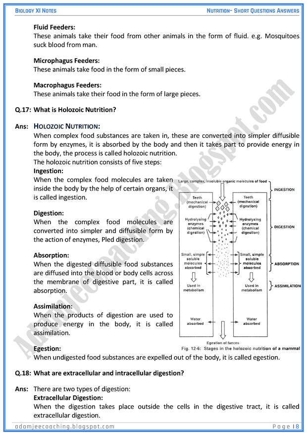 nutrition-short-question-answers-biology-11th