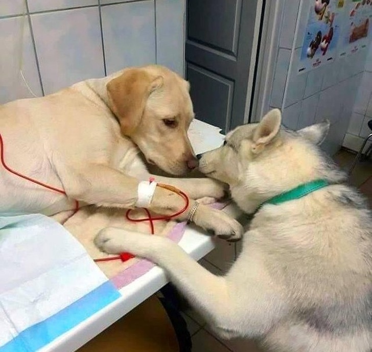 24 Adorable Photos That Melted Our Hearts 24 Adorable Photos That Melted Our Hearts