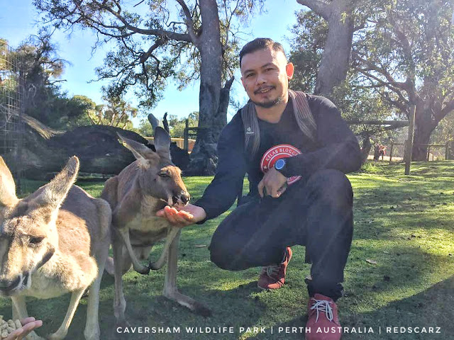 Caversham Wildlife Park, Perth Australia