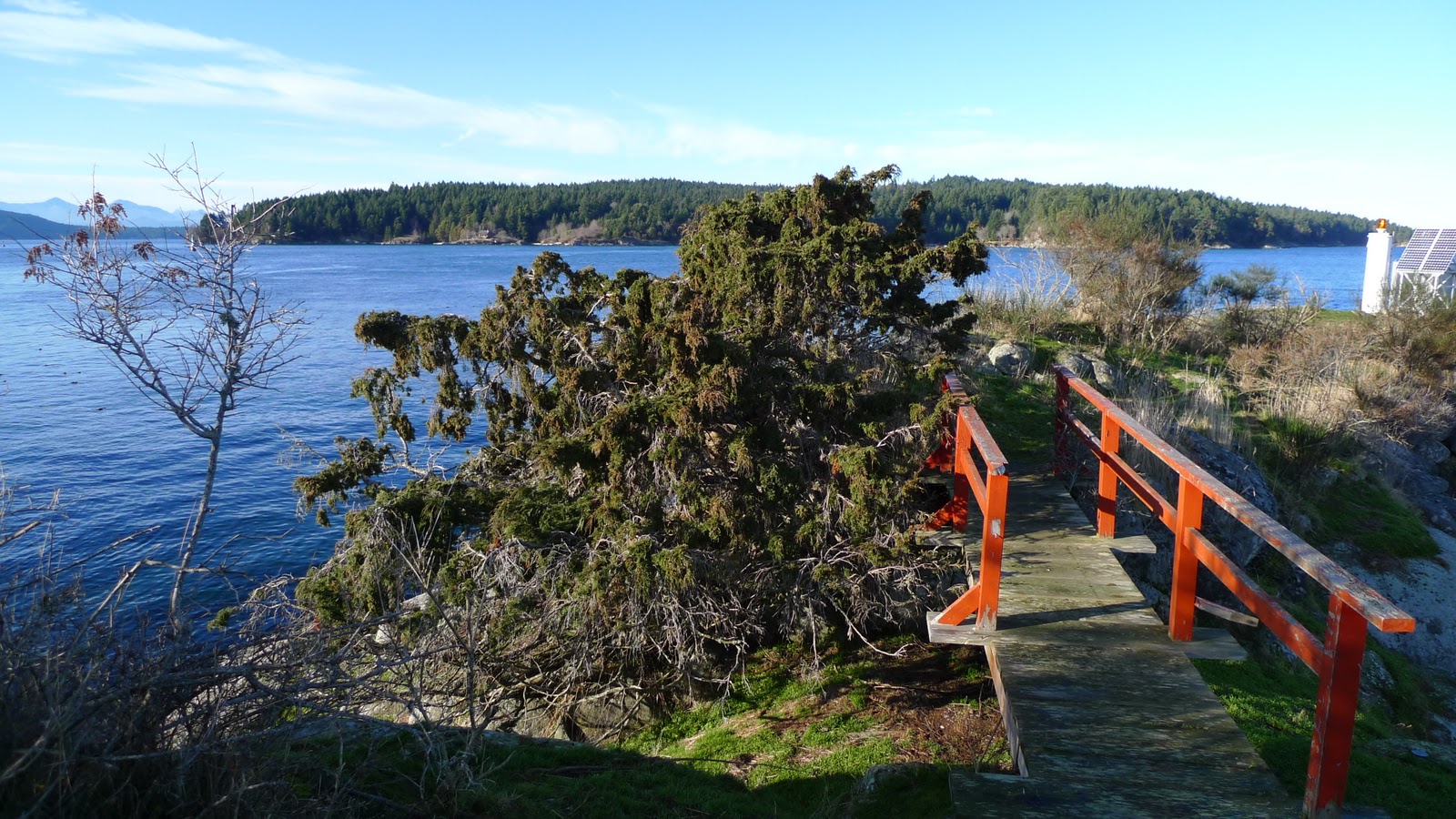 Wild Harvests Galiano Island Oyster Feast