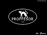 Catwalk Professor