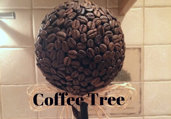  coffee tree riga