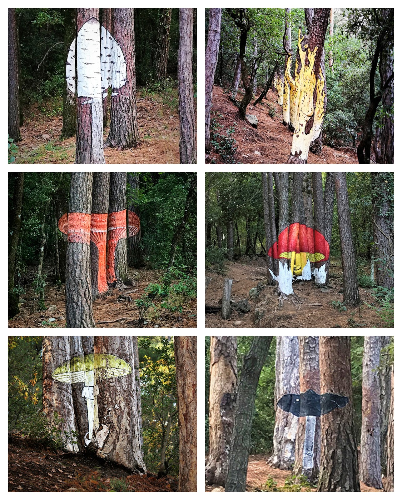bosque pintado de poblet