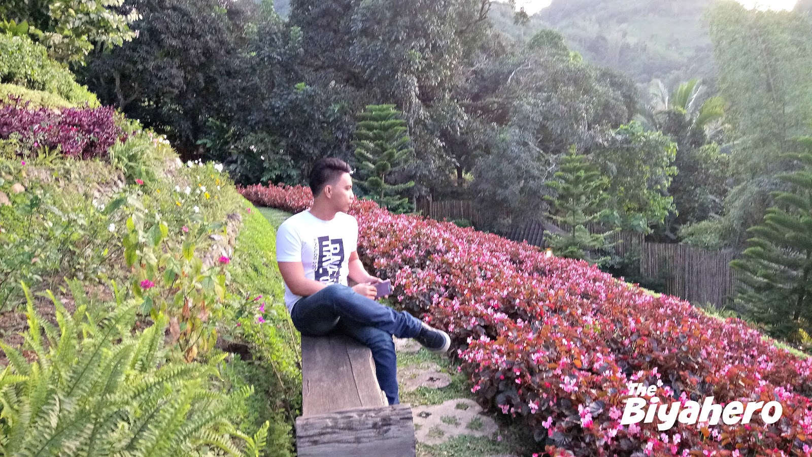 Romantic Haven Terrazas De Flores Botanical Garden In Busay