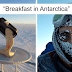 Astrobiologist Shows What Happens When You Try To Cook In Antarctica At -94ºF (-70ºC)