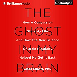 Lis Carey's Library: The Ghost in My Brain: How a Concussion Stole My ...