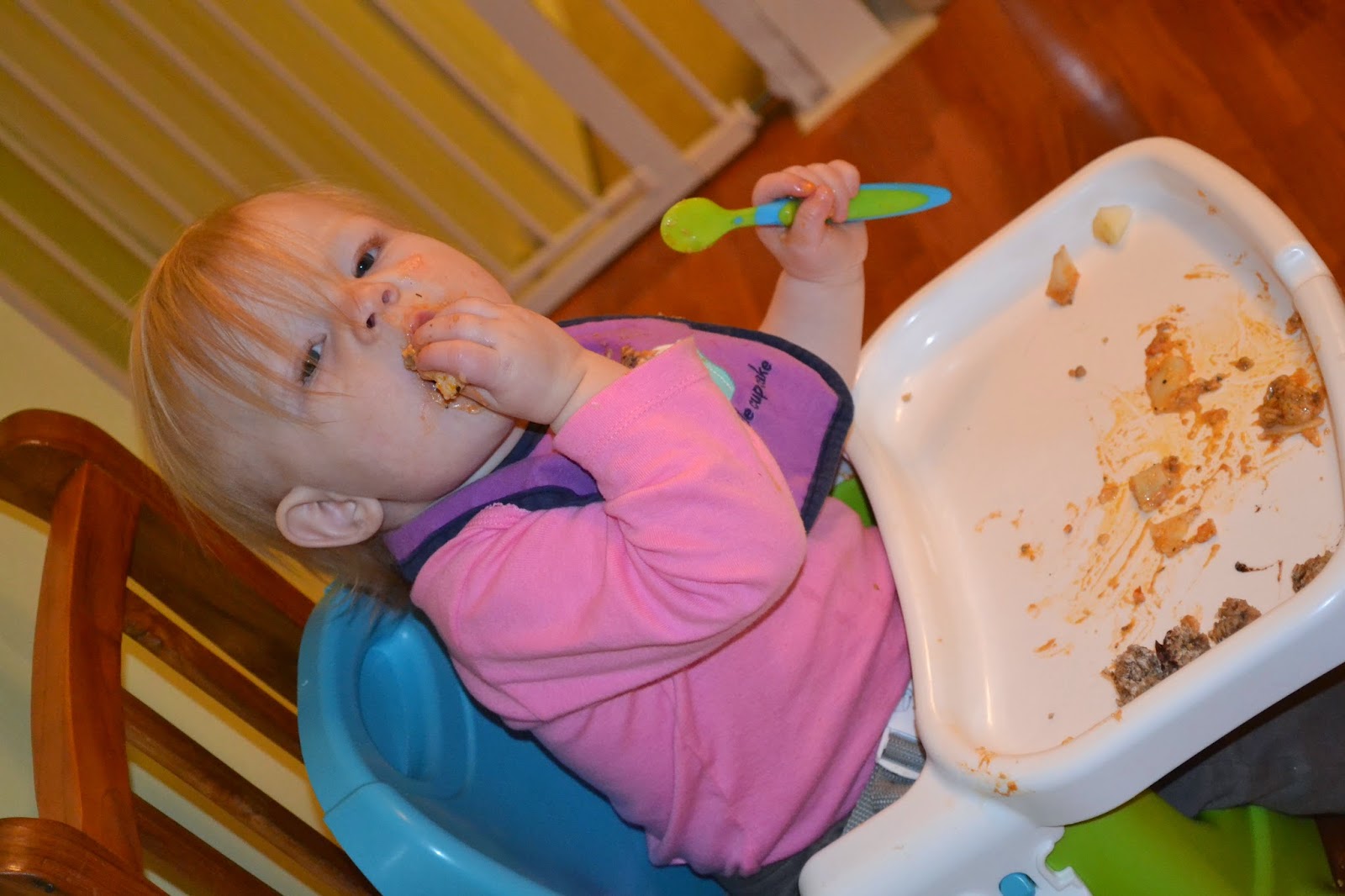 A Month of Dinners for a 15 Month Old