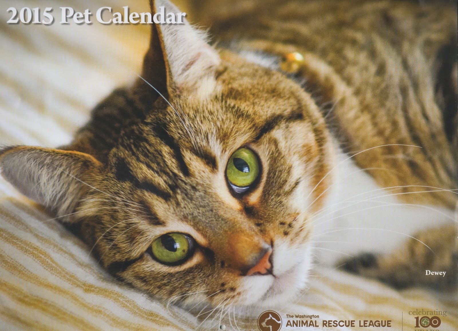 randuwa Washington Animal Rescue League Calendar