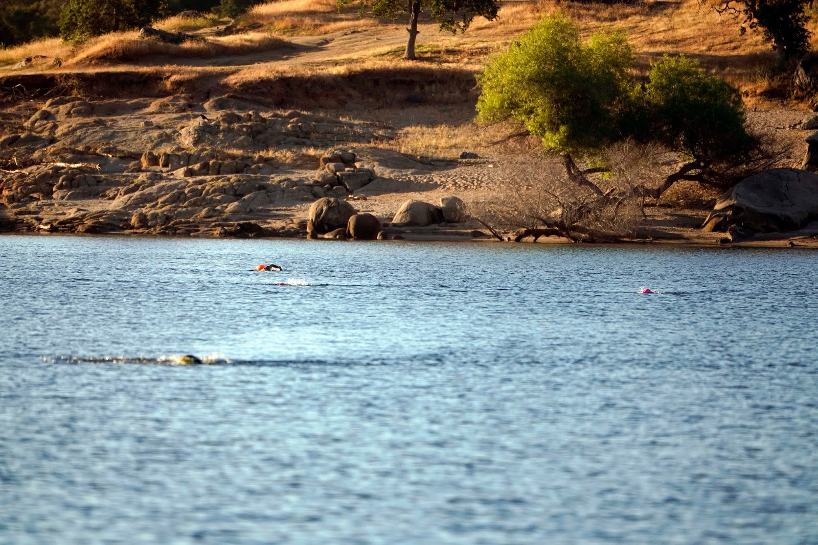 Mid Sierra Musings Swimming At Millerton Lake 2018