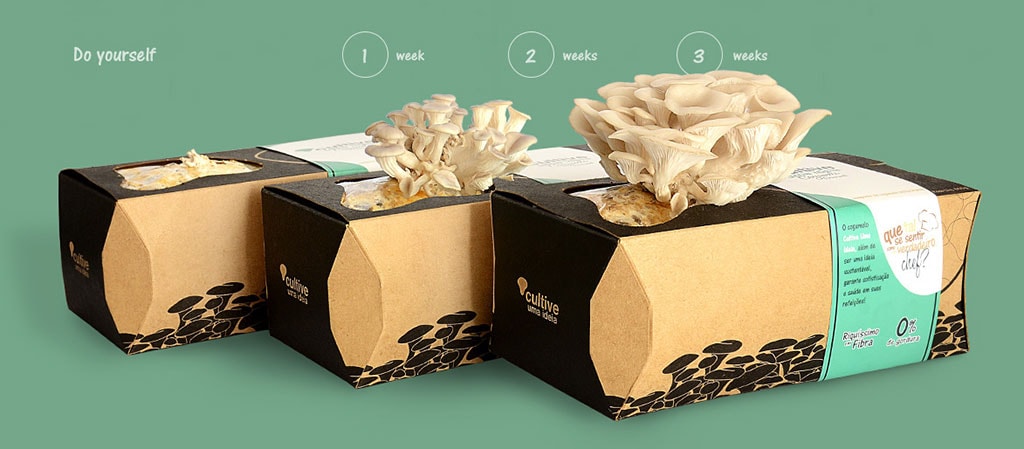 Cultive Uma Ideia Inspirasi Desain Kemasan Packaging - Cultive Uma Ideia