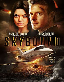 Skybound 2017 Dual Audio 720p BluRay