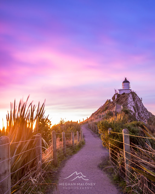 nugget point lighthouse pastel dawn
