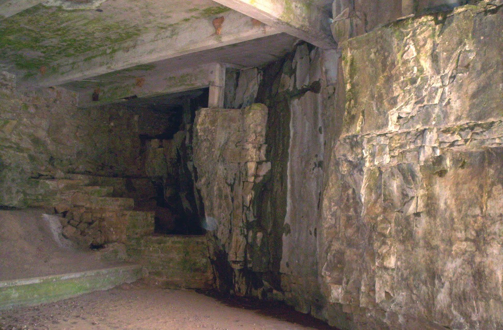 DUNBARCAVENATURALAREAPARKPICTURESAMERICA DUNBAR CAVE PARK PICTURES 3