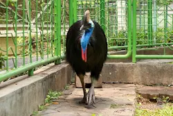taman burung tmii jakarta