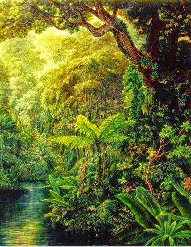 paisajes-naturales-cuadros-realistas pinturas-al-oleo-de-paisajes-naturales