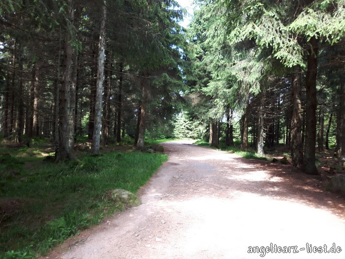 Brocken im Harz Brocken im Harz