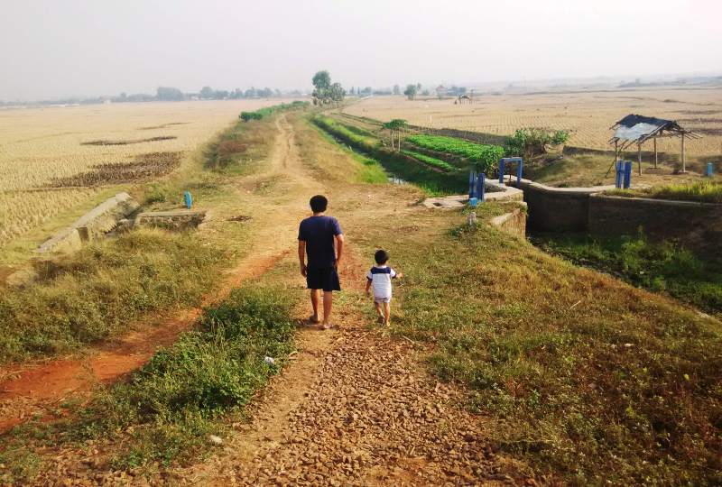 sawah cikampek sawah di cikampek karawang
